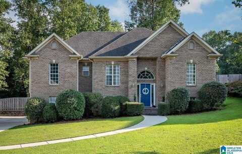 119 LIME CREEK LANE, CHELSEA, GA 35043