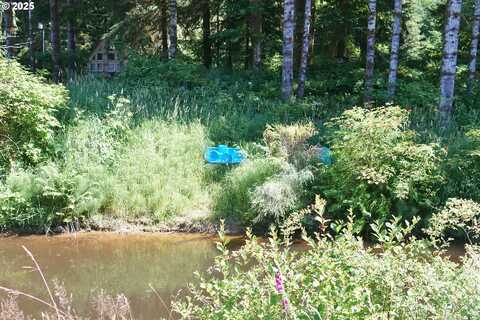 9965 BEACH DR, Birkenfeld, OR 97016