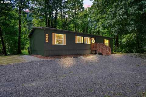 662 CANNAVINA RD, Carson, WA 98610