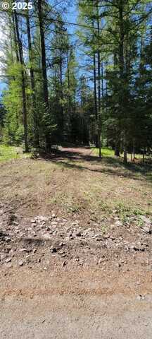 Chief Joseph Loop Rd, Joseph, OR 97846