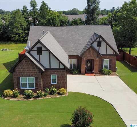 1035 PRINCETON PARK, MONTEVALLO, AL 35115