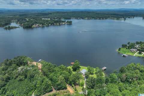 1744 CONSTELLATION DRIVE, ALPINE, AL 35014