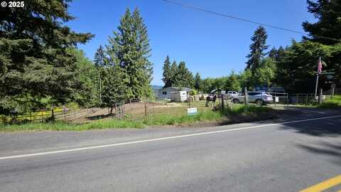 2746 S SILVER LAKE RD, Castle Rock, WA 98611