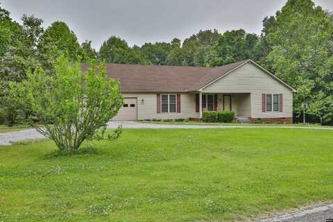 18 Tollie Markham, Dyer, TN 38330