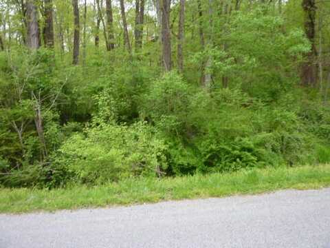 0 Creekside DR, Salem, VA 24153
