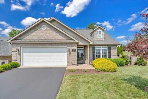 73 Medallion CT, Daleville, VA 24083