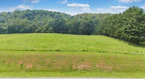 Lot 5 Idlewood RD, Hardy, VA 24101