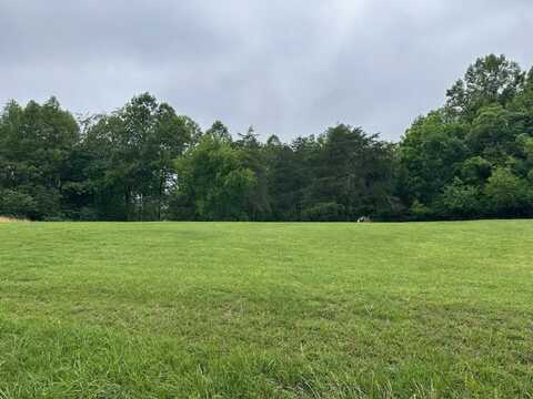 Lot 2 Hales Ford RD, Moneta, VA 24121