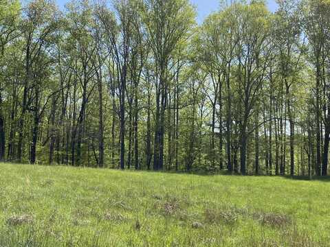 Lot 46 Crestview RD, Wirtz, VA 24184