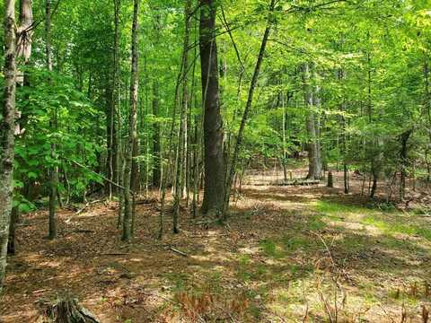 0 Cobble TRL, Bent Mountain, VA 24059