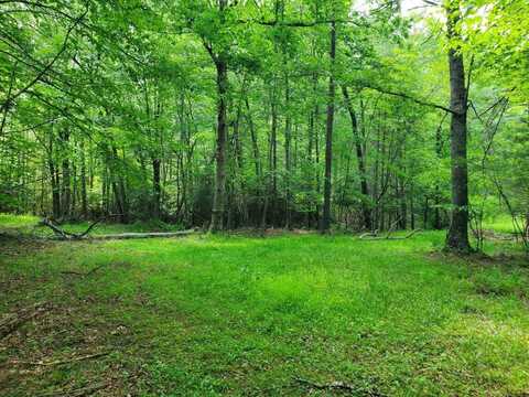 10334 Mill Creek RD, Bent Mountain, VA 24059