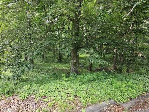 Lot 88R Old Farm Road, Roanoke Rapids, NC 27870