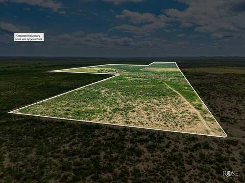 7502 County Rd 410, Mertzon, TX 76941