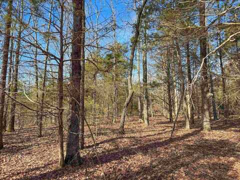 181 Old Springfield Road, Quitman, AR 72131