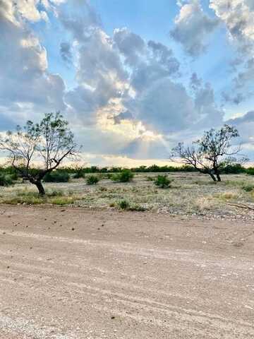6886 Eugene Trl, San Angelo, TX 76904