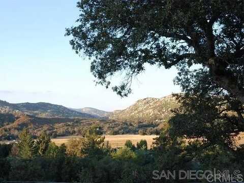 9502 Elm Drive, Descanso, CA 91916