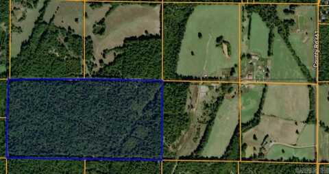County Road 461, Pollard, AR 72456