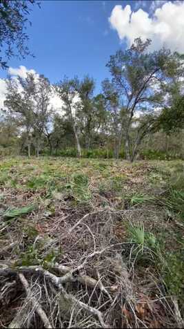 1294 Miliken Terrace Terrace, Port Charlotte, FL 33953