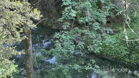 1500&1551 Reading Creek Rd., Douglas City, CA 96024