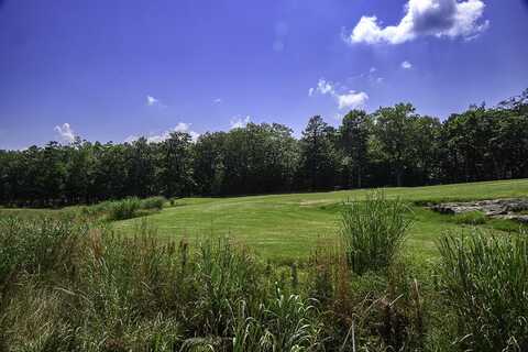 I-3 Arrow Ranch Road, Rising Fawn, GA 30738