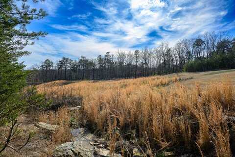 I-3 Arrow Ranch Road, Rising Fawn, GA 30738