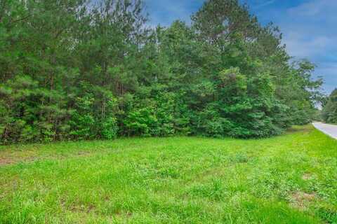 GA HWY 0103, WEST POINT, GA 31833
