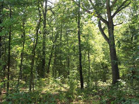 602 Catbird Circle, Horseshoe Bend, AR 72512