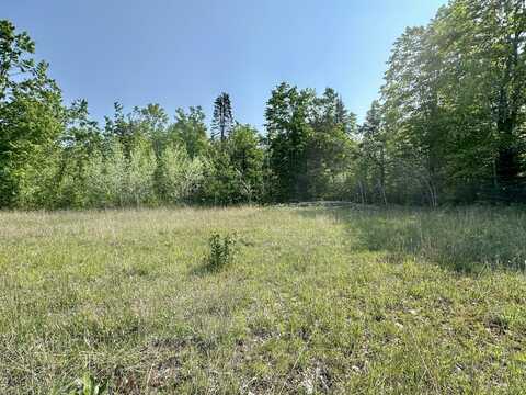10948 PARTRIDGE LANE, CHEBOYGAN, MI 49721