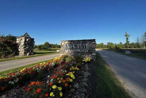 61 SPARROW HAWK DRIVE, BELLAIRE, MI 49615