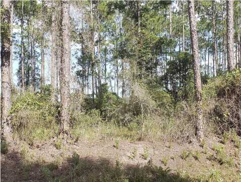 10235 Amos Avenue, Hastings, FL 32145