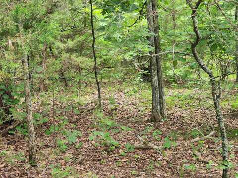 L21B1 Coyotero Trace, Cherokee Village, AR 72529