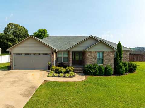 13 Patterson Lane, Cave City, AR 72521