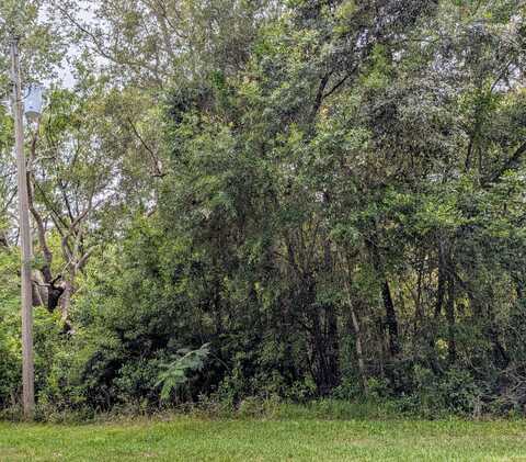 8970 N Joann Drive, Citrus Springs, FL 34434