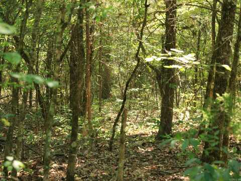 210 E Bo Peep Lane, Horseshoe Bend, AR 72512