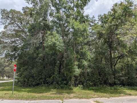8989 N Conch Terrace, Dunnellon, FL 34434