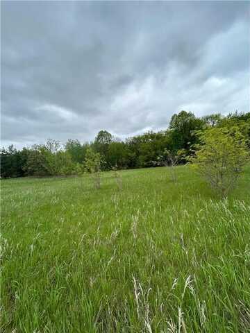 Xxx Calico Trail, Motley, MN 56466