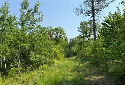Tbd County Road T, Dairyland, WI 54830