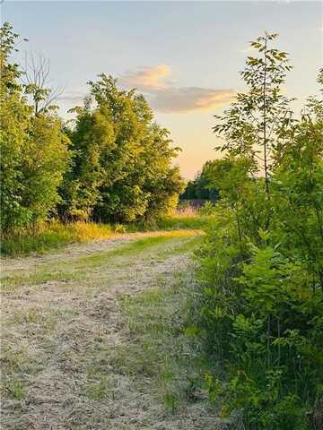 Tbd Hwy 19 / Lonsdale Blv Lonsdale Blvd E Boulevard E, Bridgewater Twp, MN 55057