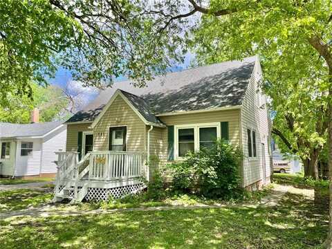 111 N Park Avenue, Springfield, MN 56087