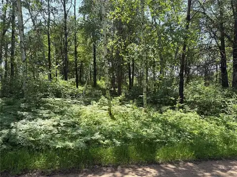 Tbd S Sluetter Road, Pequot Lakes, MN 56472