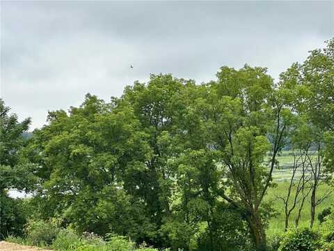 Tbd County Road 43, Laketown Twp, MN 55318