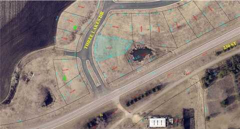 283 Three Lakes Drive, Madison Lake, MN 56063