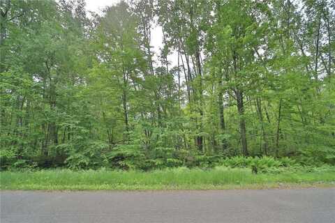 Tbd Blue Lane E, Emily, MN 56447