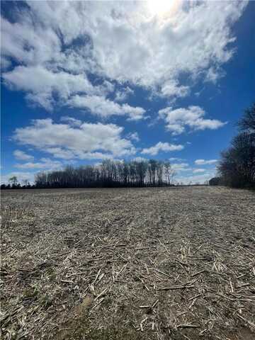 0000 County Road W, Downing, WI 54734