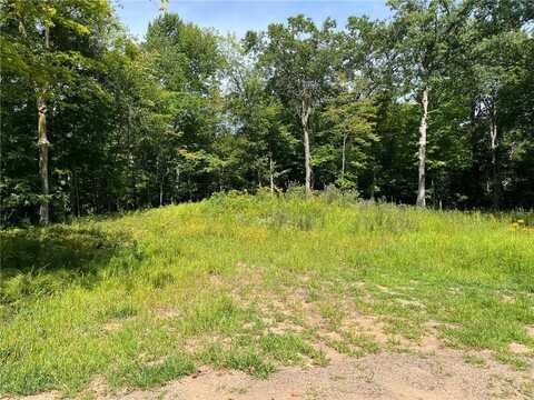 Lot 6 186th Avenue, Milltown, WI 54810