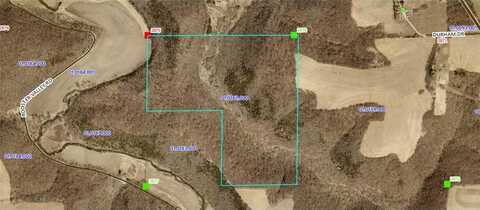 Tbd TBD, Black Hammer Twp, MN 55974
