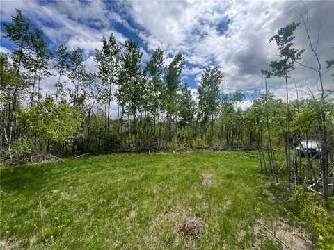 66755 Rutabaga Road, Sandstone, MN 55072