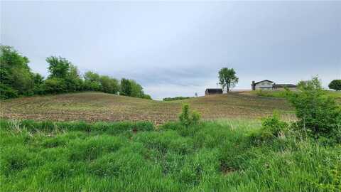 Tbd 250thn st E, Douglas Twp, MN 55031