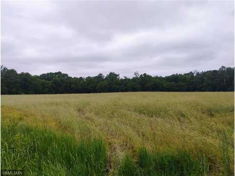 6xxx County Road 6 NW, Wyanett Twp, MN 55371