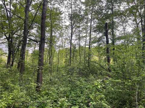 Xxx Crust Road, Brainerd, MN 56401